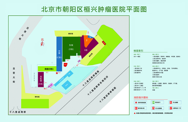 大几把啊啊啊爽视频网北京市朝阳区桓兴肿瘤医院平面图